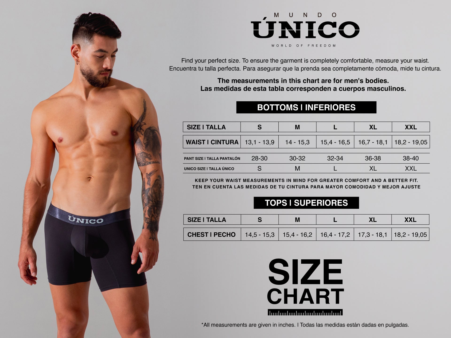 Boxer Medium Resonant Print